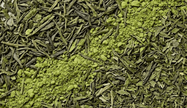 Pukka Organic Mint Matcha Green Tea – Cool Power - Image 3