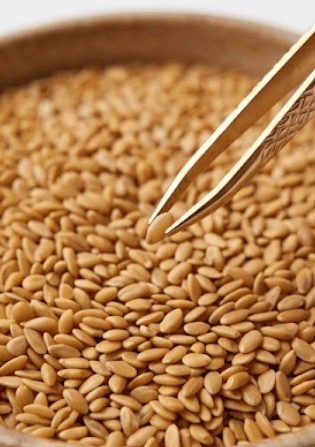 Organic Golden Linseed (Flaxseed) 500G - Image 6